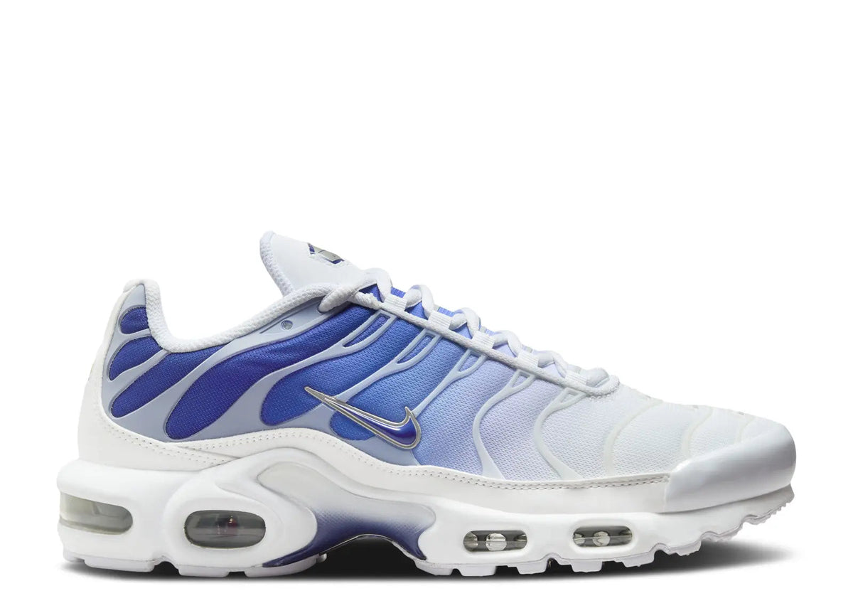 Air Max Plus Blue Fade