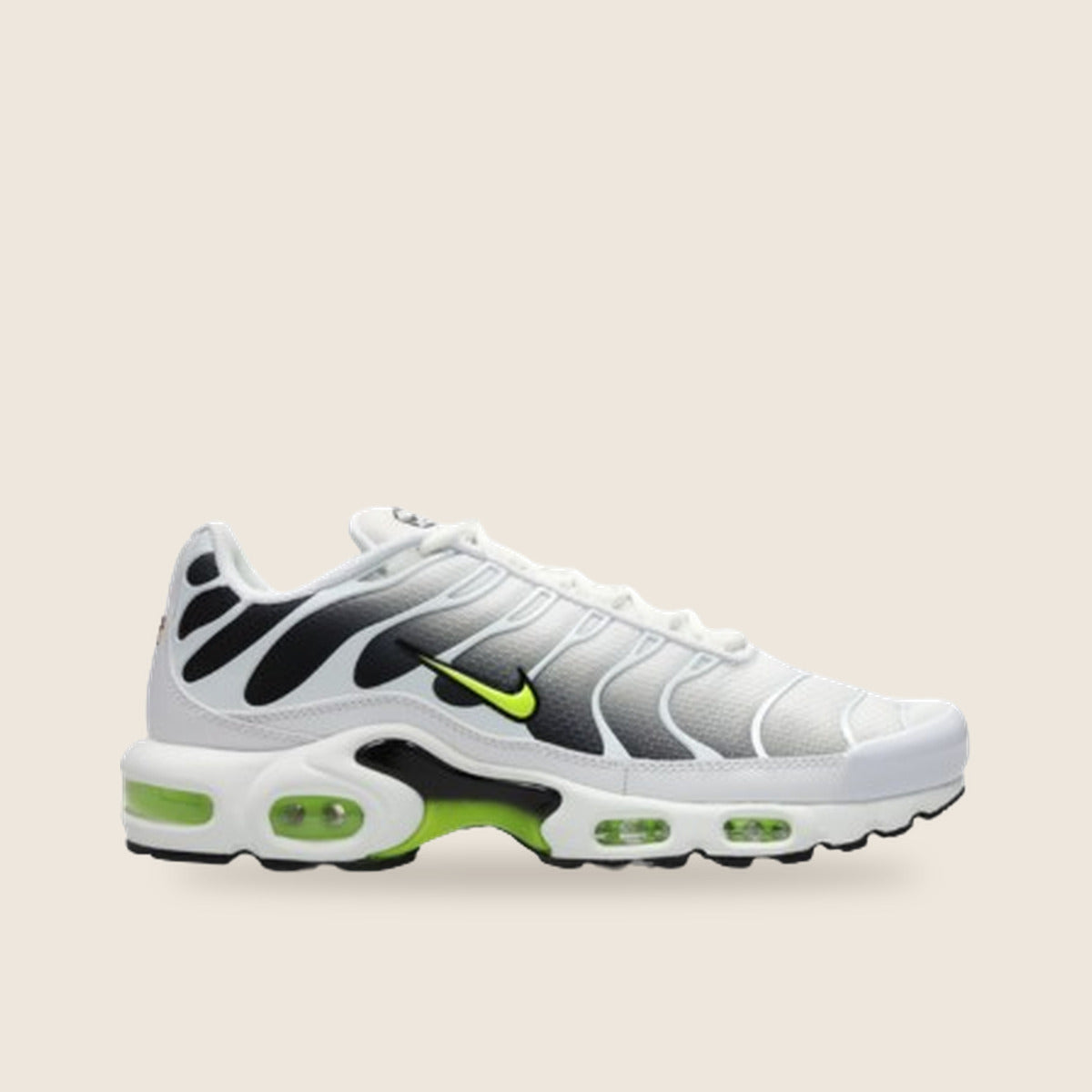 Air Max Plus TN — Blanc et argent
