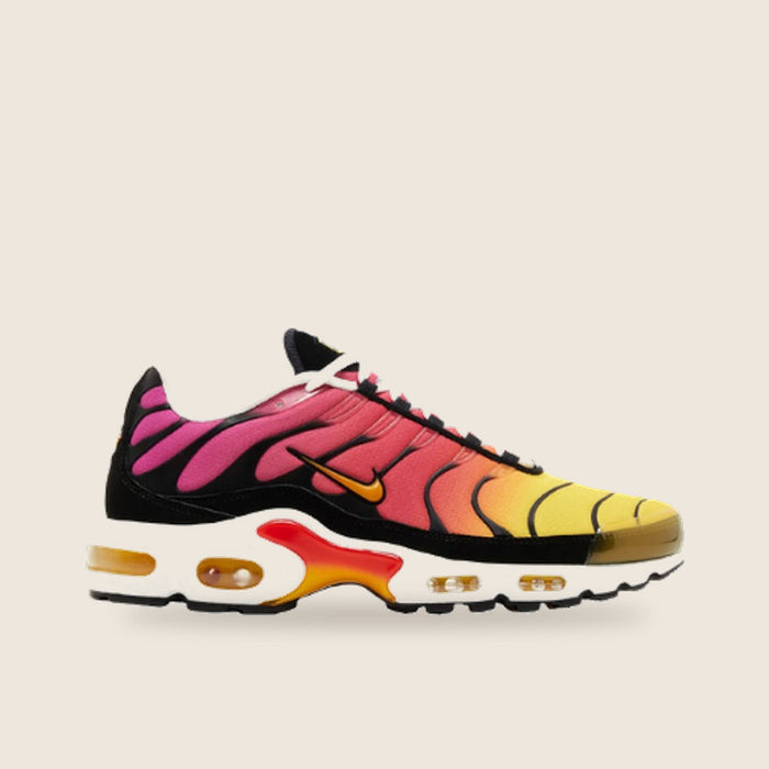 Air Max Plus — Multicolore