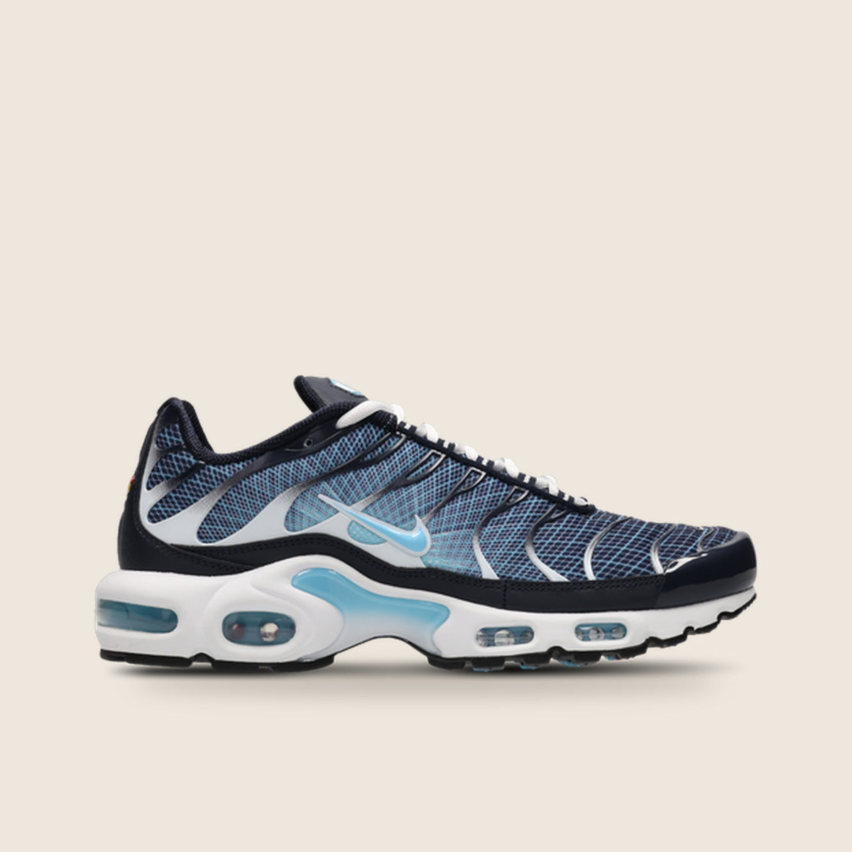 Air Max Plus TN — Bleu